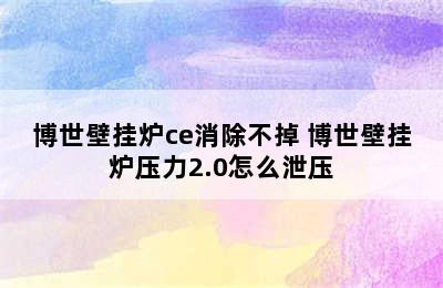 博世壁挂炉ce消除不掉 博世壁挂炉压力2.0怎么泄压